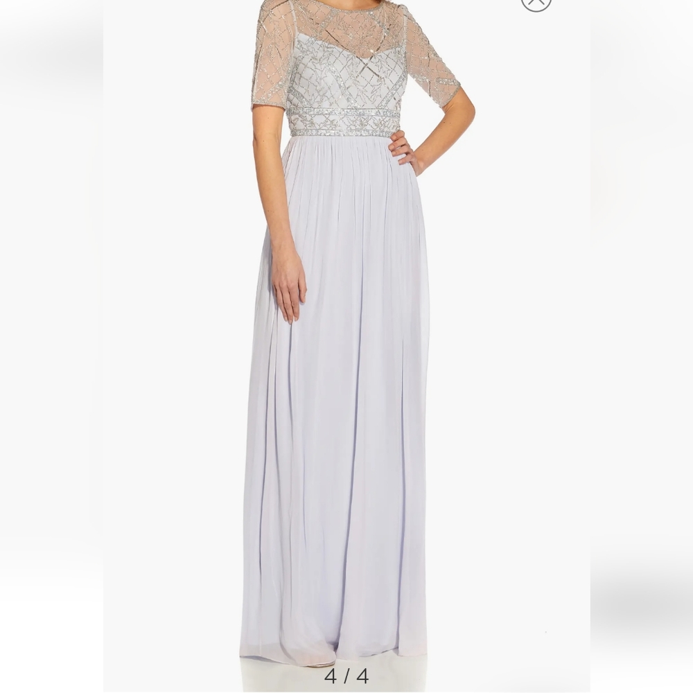 Adrianna Papell Beaded Mesh Chiffon Gown